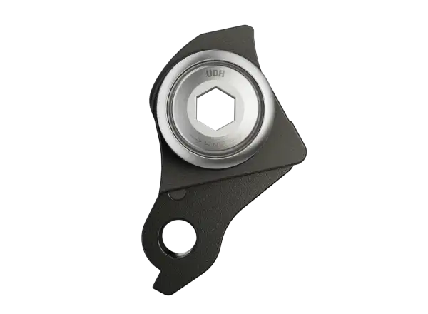Sram UDH universelles Rahmen-Schaltauge Silver