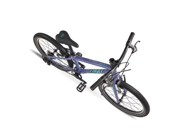 Fiha Kinderfahrrad 20″ – AuraBlazer Violett