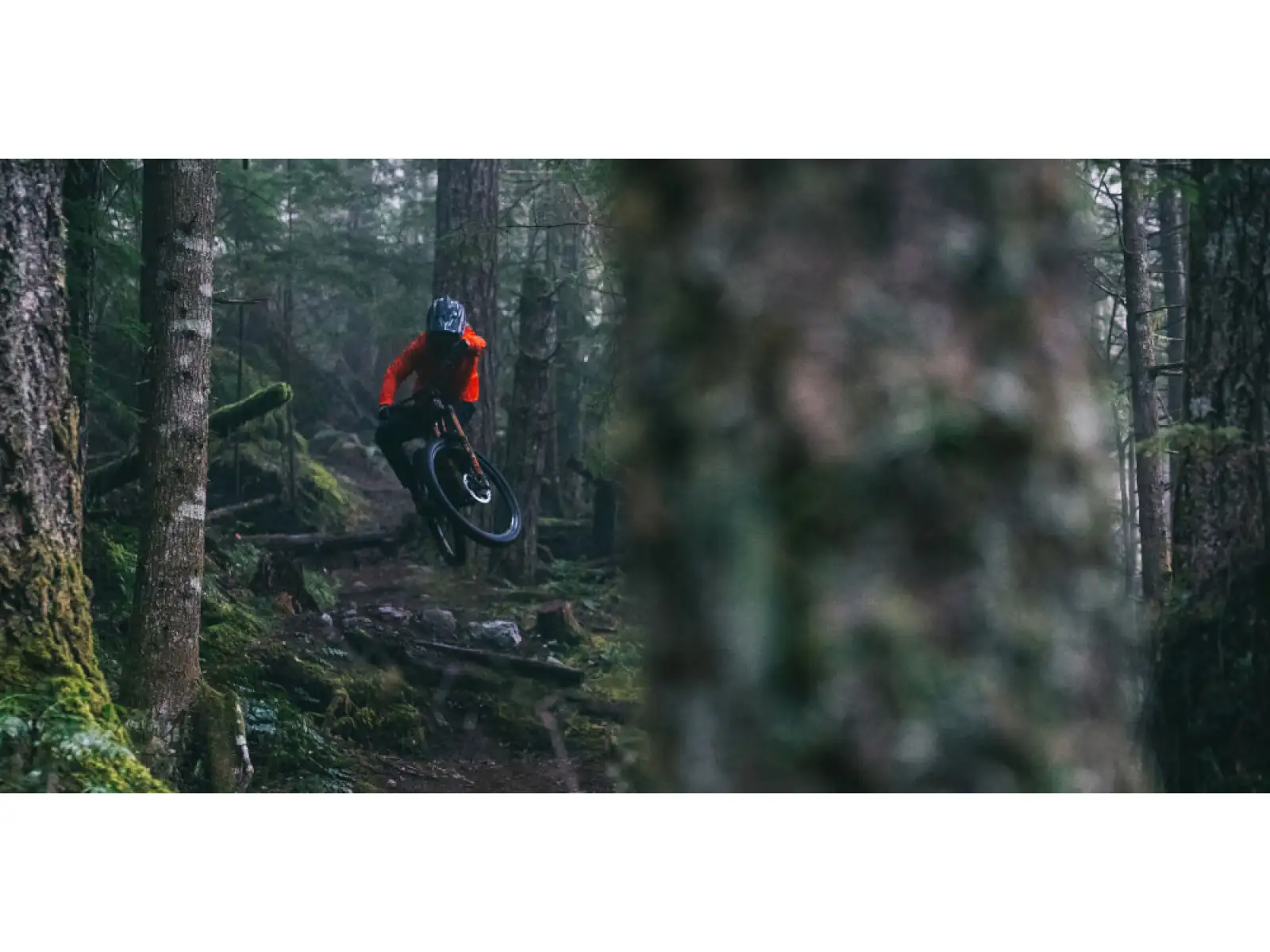 Federgabel Fox 36 Float Grip2 29" 160mm Orange 2022