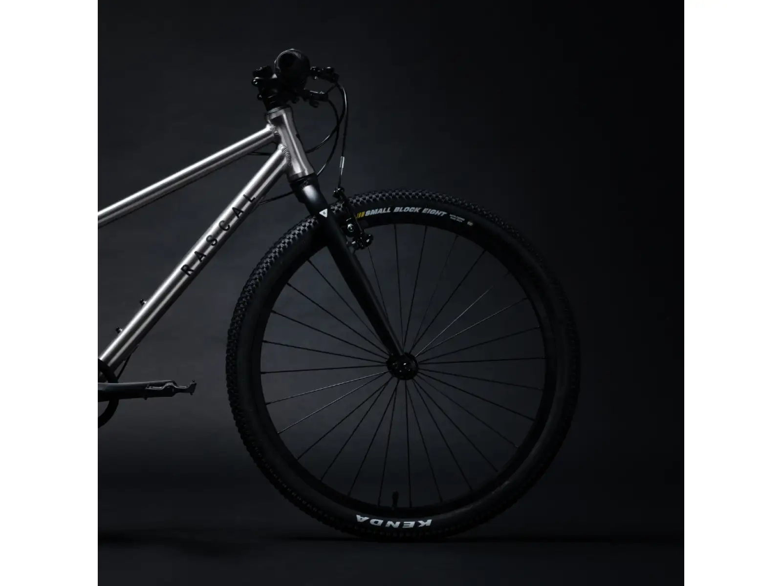 Rascal 24 3 sp. Shimano Nexus Kinderfahrrad Titan