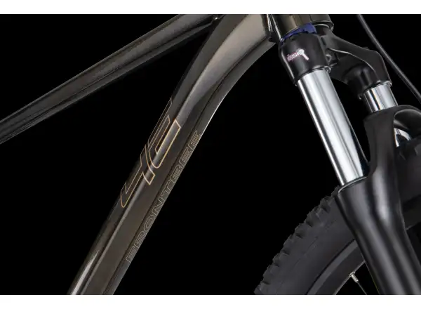 4Ever Frontbee XCM 29" Mountainbike Gold galaxy