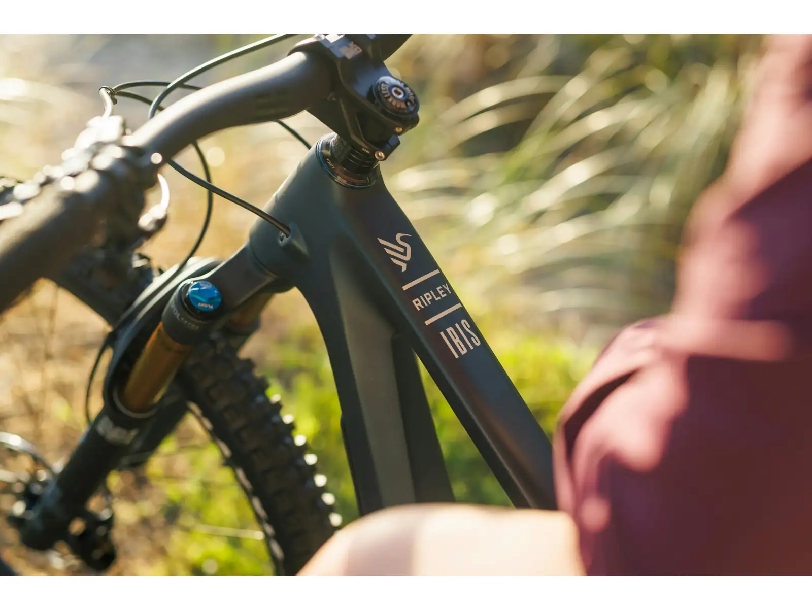 Ibis Ripley V5 Eagle 90 Mountainbike Blue Hour