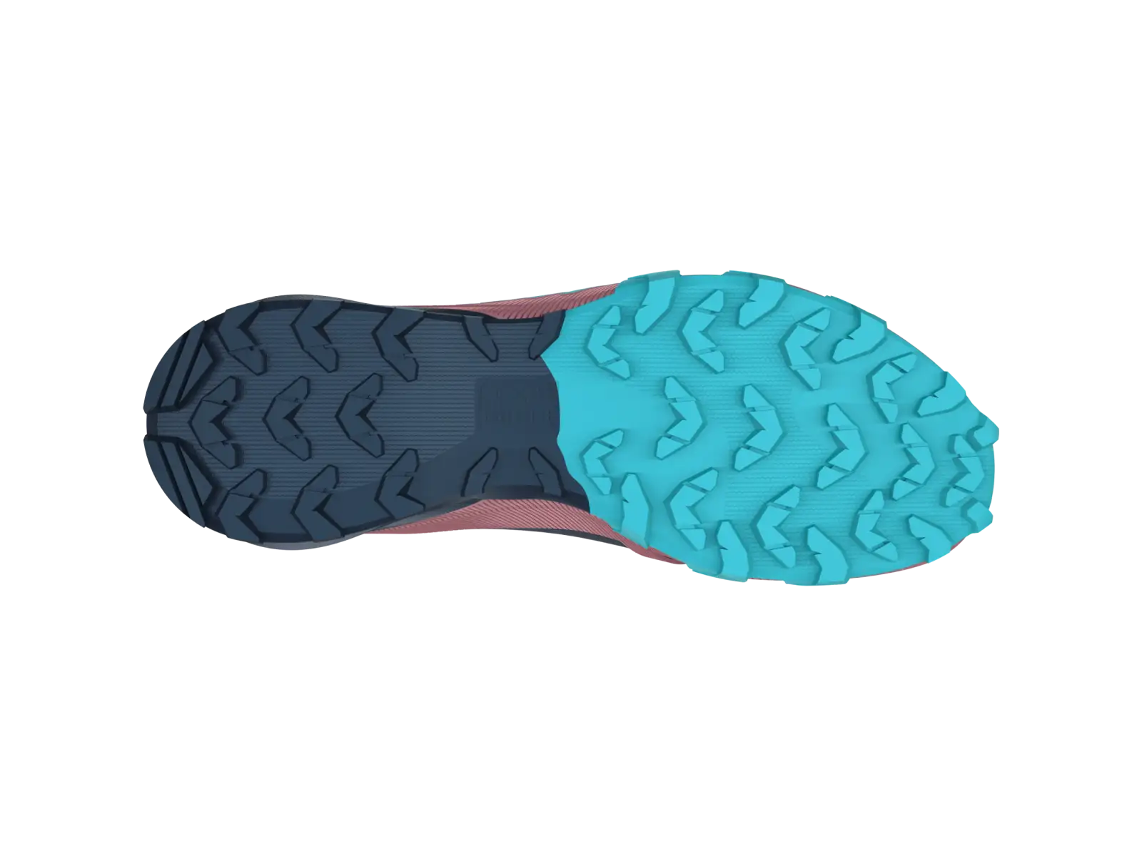 Dynafit Traverse Mitte GTX Damen Schuhe Blueberry/Mokarosa