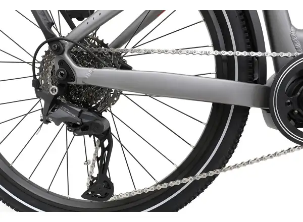 APACHE Rio Grande 1 MX 720 Wh Tiefeinsteiger E-Bike Anthrazit