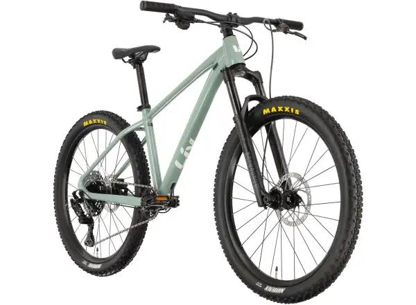 Liv STP 26 M Kinder-Mountainbike Eucalyptus