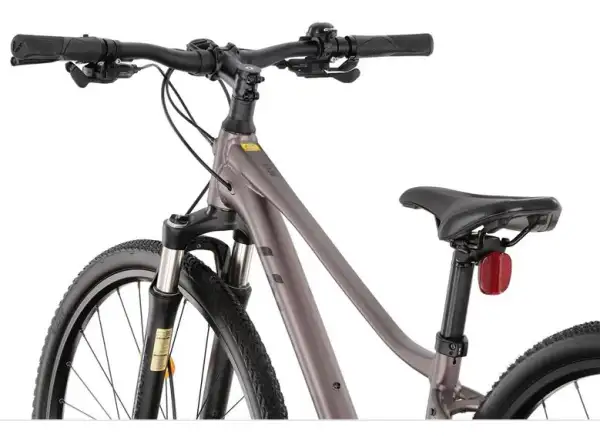Liv Rove 1 DD Damen-Trekkingrad Dark Eclipse