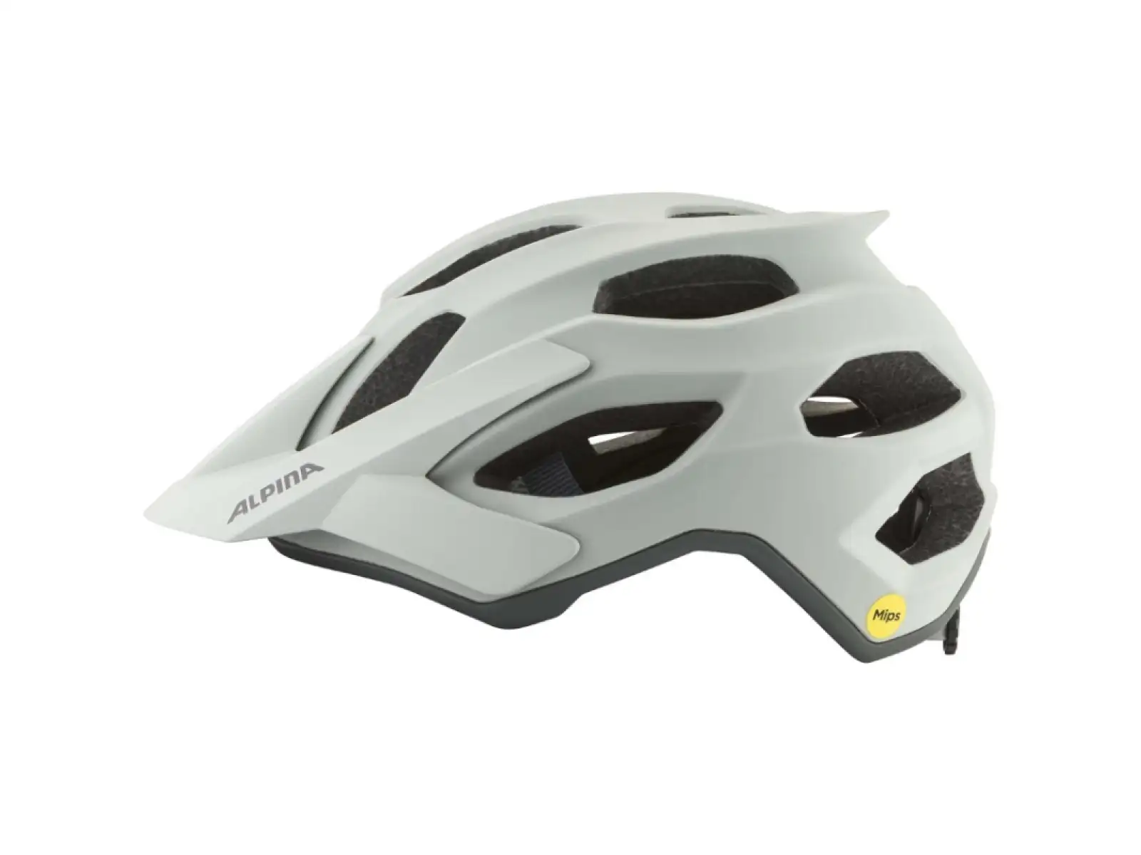 Alpina Apax MIPS Fahrradhelm Smoke/Grey Matt