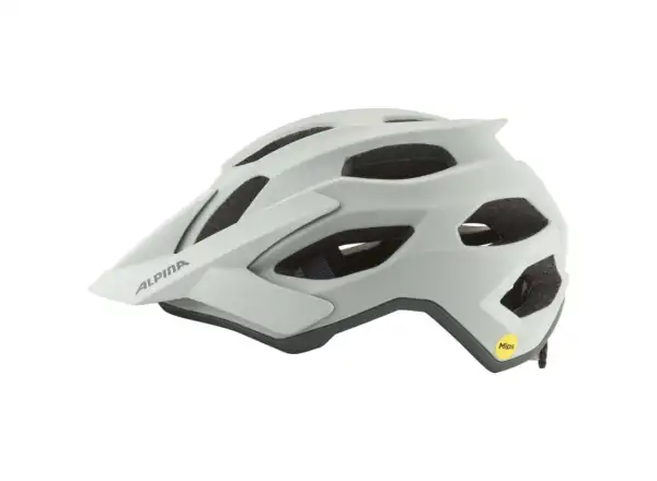 Alpina Apax MIPS Fahrradhelm Smoke/Grey Matt