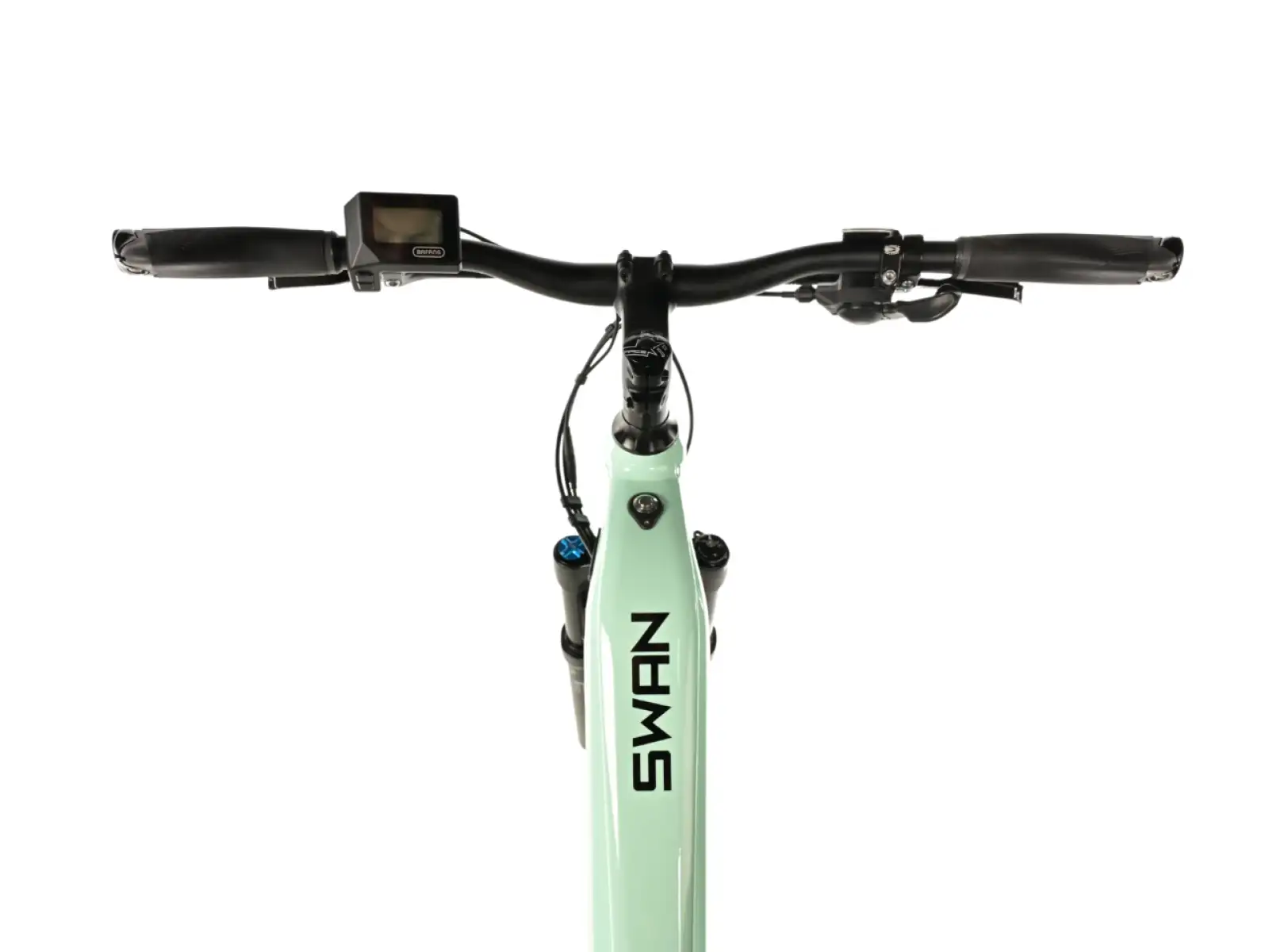 Leader Fox Swan 29 720Wh Damen E-Mountainbike grün