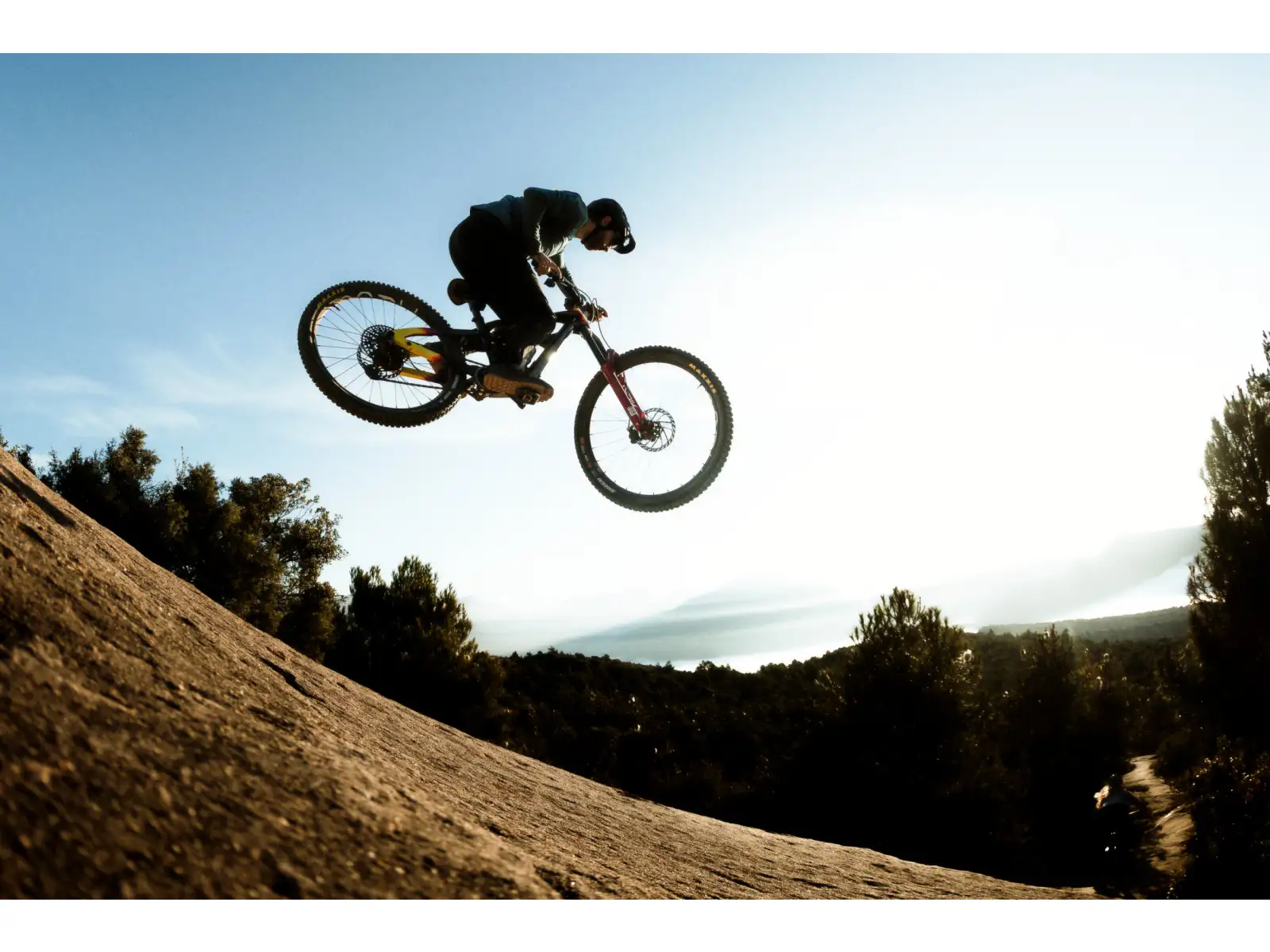 Cannondale Bad Habit 1 Mountainbike RAW Carbon