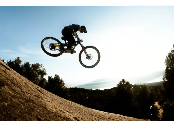 Cannondale Bad Habit 1 Mountainbike RAW Carbon