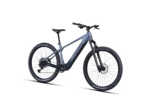 Crussis e-Largo AX 9.12-M2S(800) Mountain-E-Bike