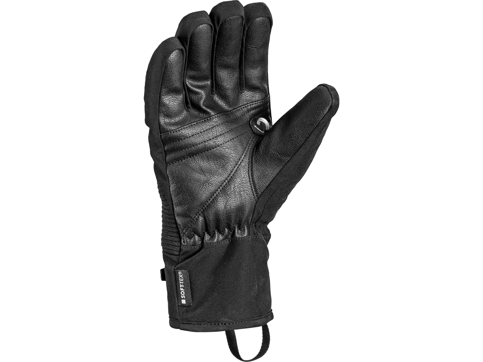 Leki Voltec TR Skihandschuhe Black