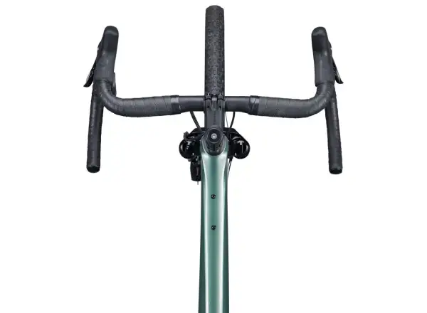 Giant Revolt X Advanced Pro 2 Schotterrad Nebelwald