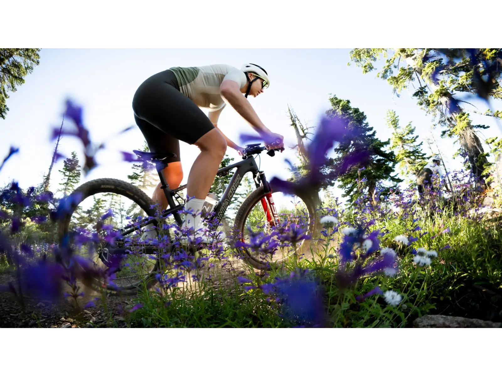 Santa Cruz Blur 5 CC 29 27 GX AXS RACE RSV Mountainbike Matte Carbon