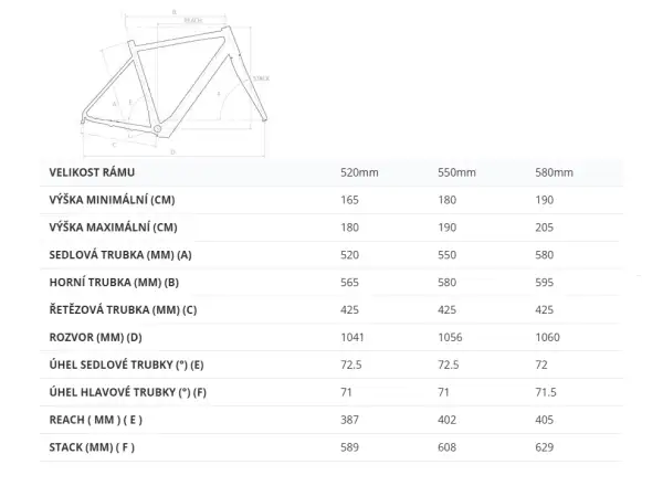 4EVER Engrave PRO Gravel Elektrofahrrad Titan/Metal Gold