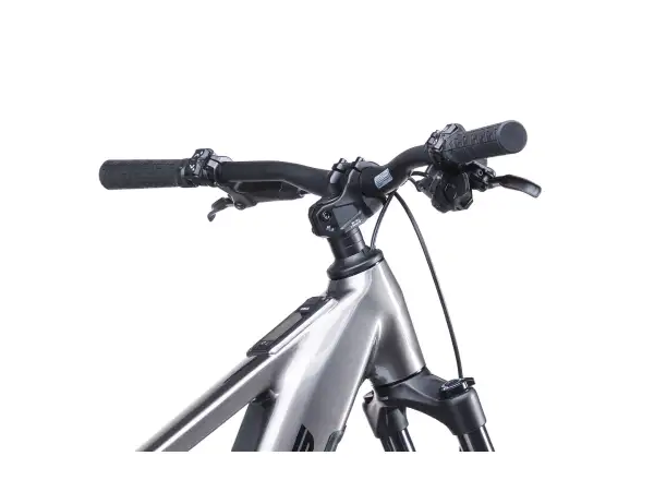 Crussis ONE-Fionna AX 9.12-M2(800) Mountain E-Bike