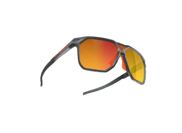 Dynafit Traverse Evo Sonnenbrille Quiet Shade/Dawn Cat