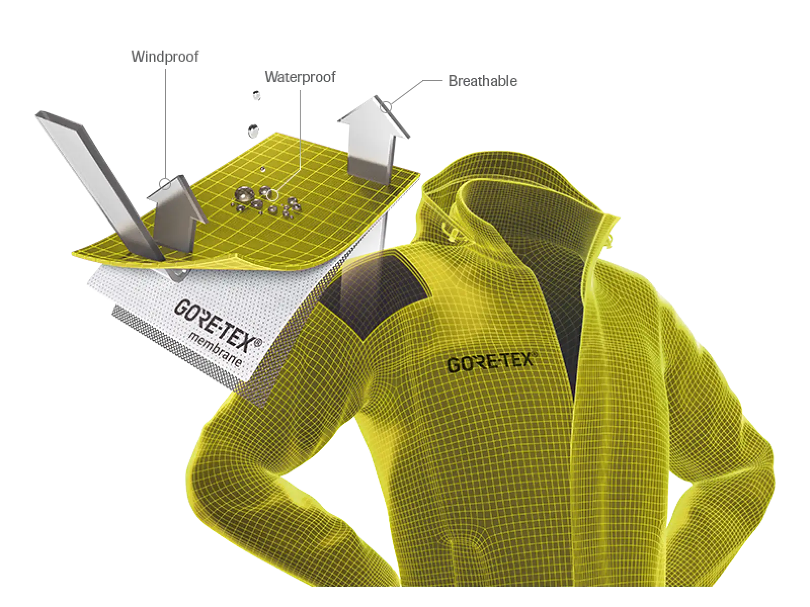 Dynafit Tigard Gore-Tex Damenjacke Mokarosa