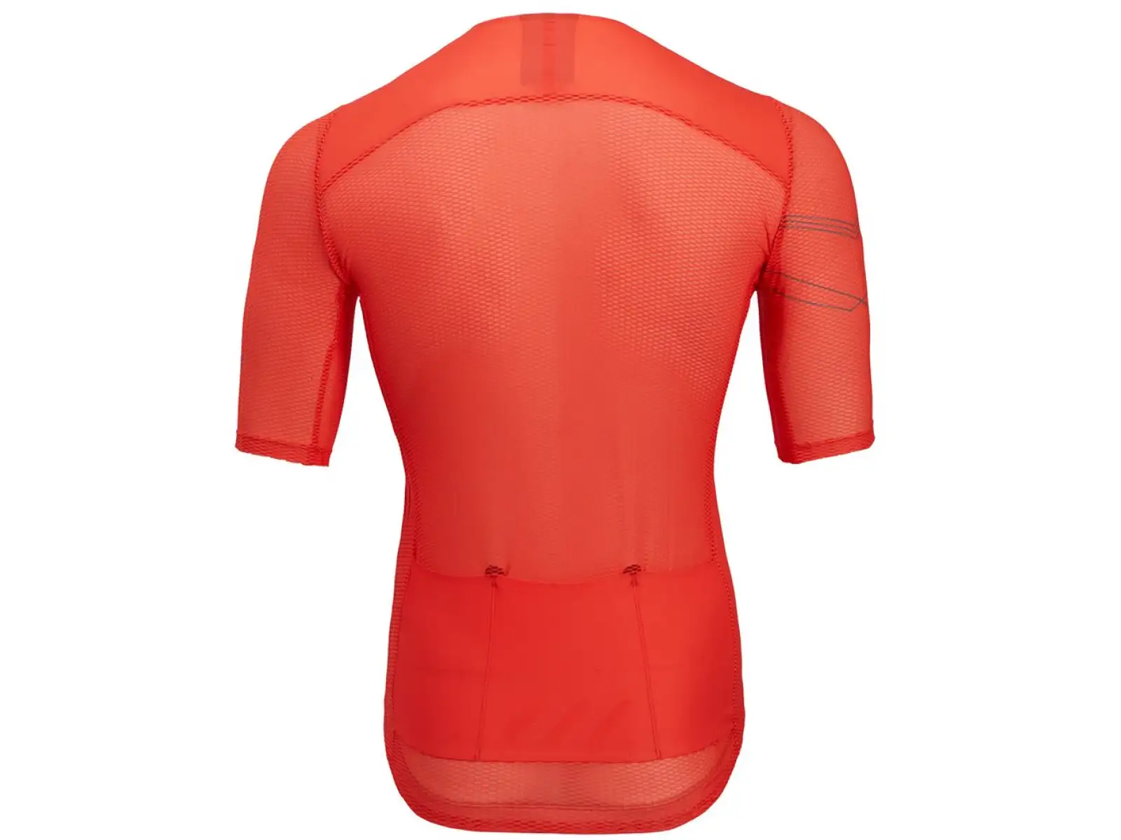 Silvini Legno Herren Kurzarmtrikot rubin/anthrazit