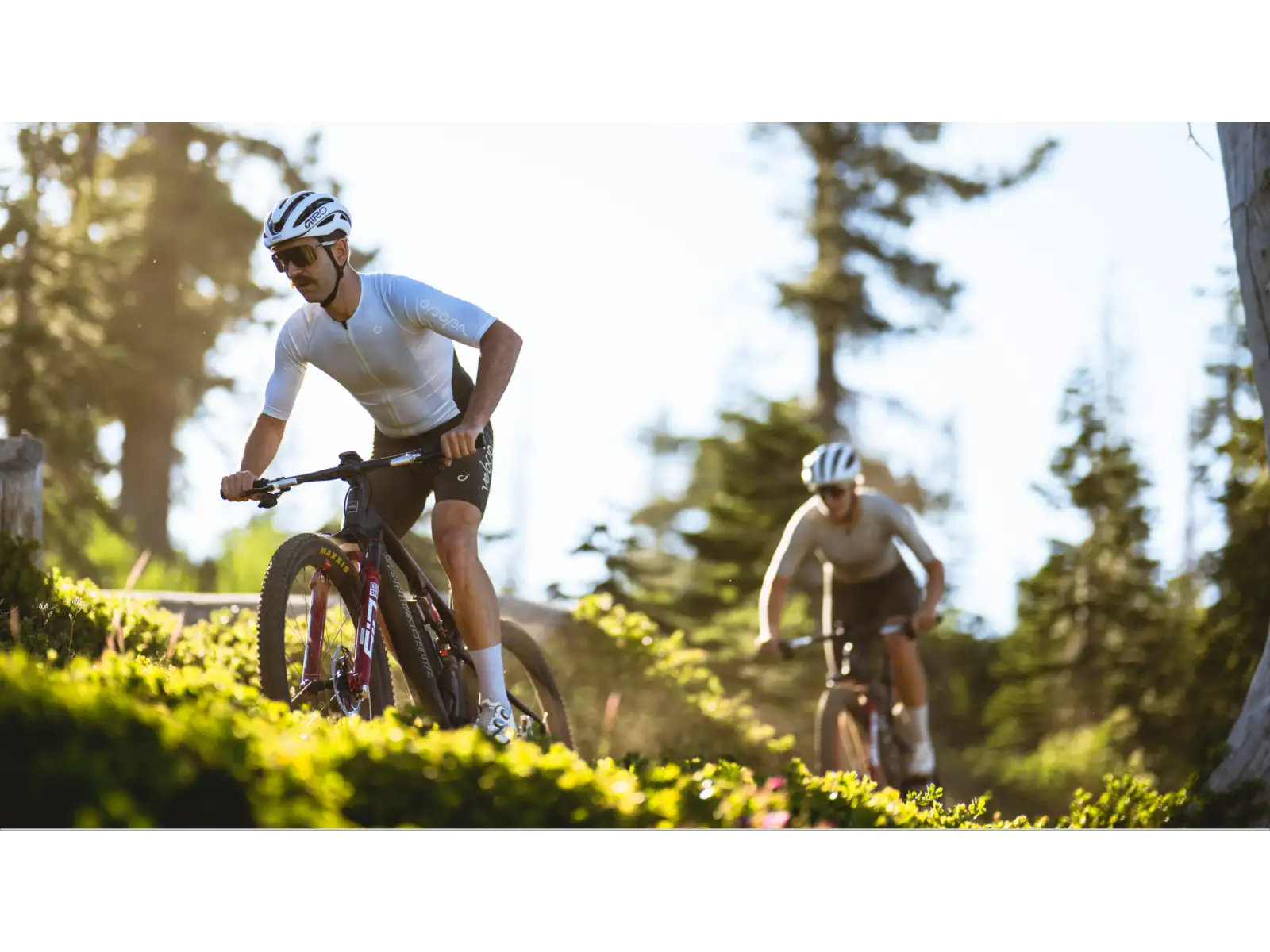 Santa Cruz Blur 5 CC 29 27 GX AXS RACE RSV Mountainbike Matte Carbon