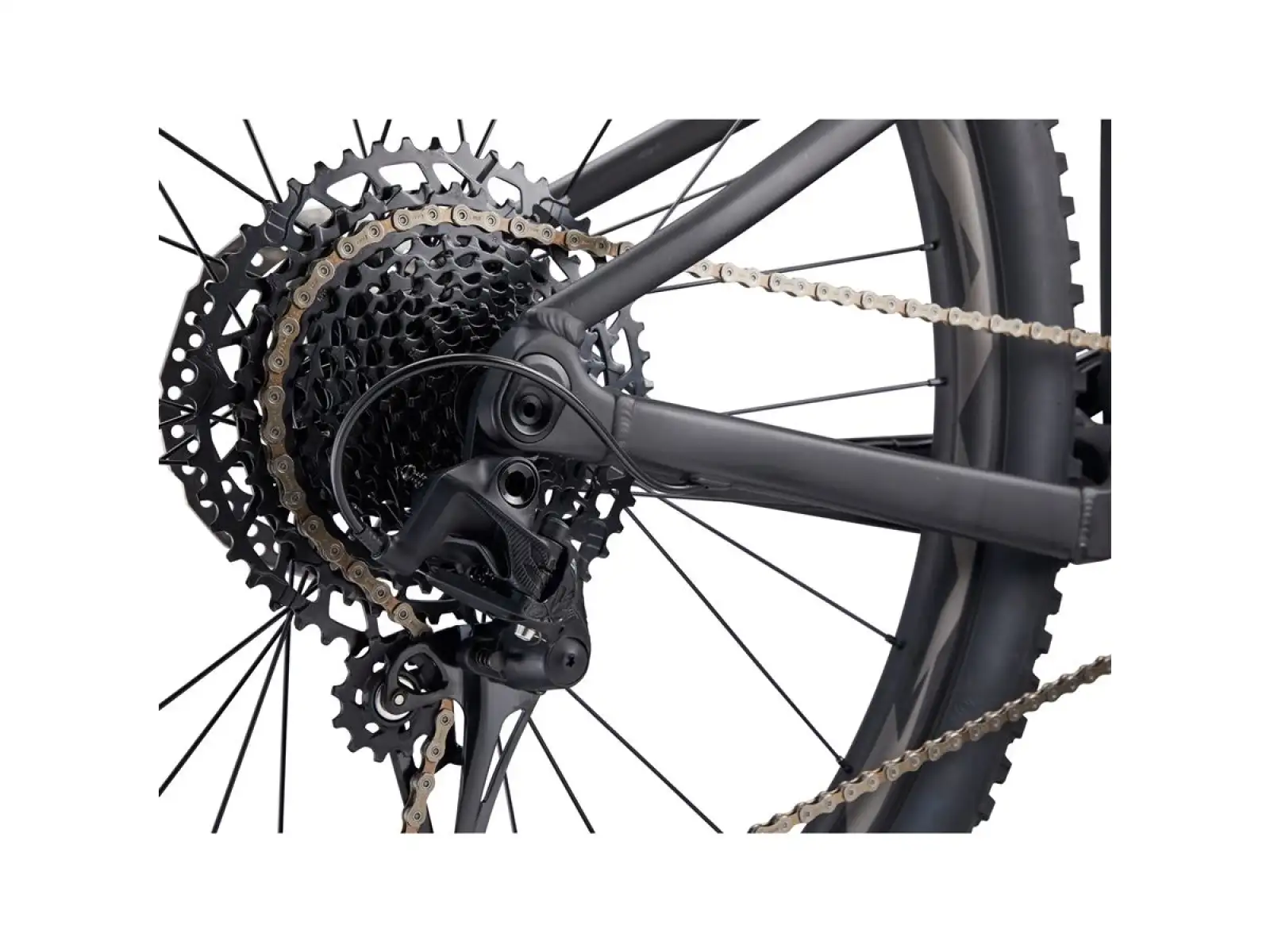Liv Embolden 1 Mountainbike Black 2024