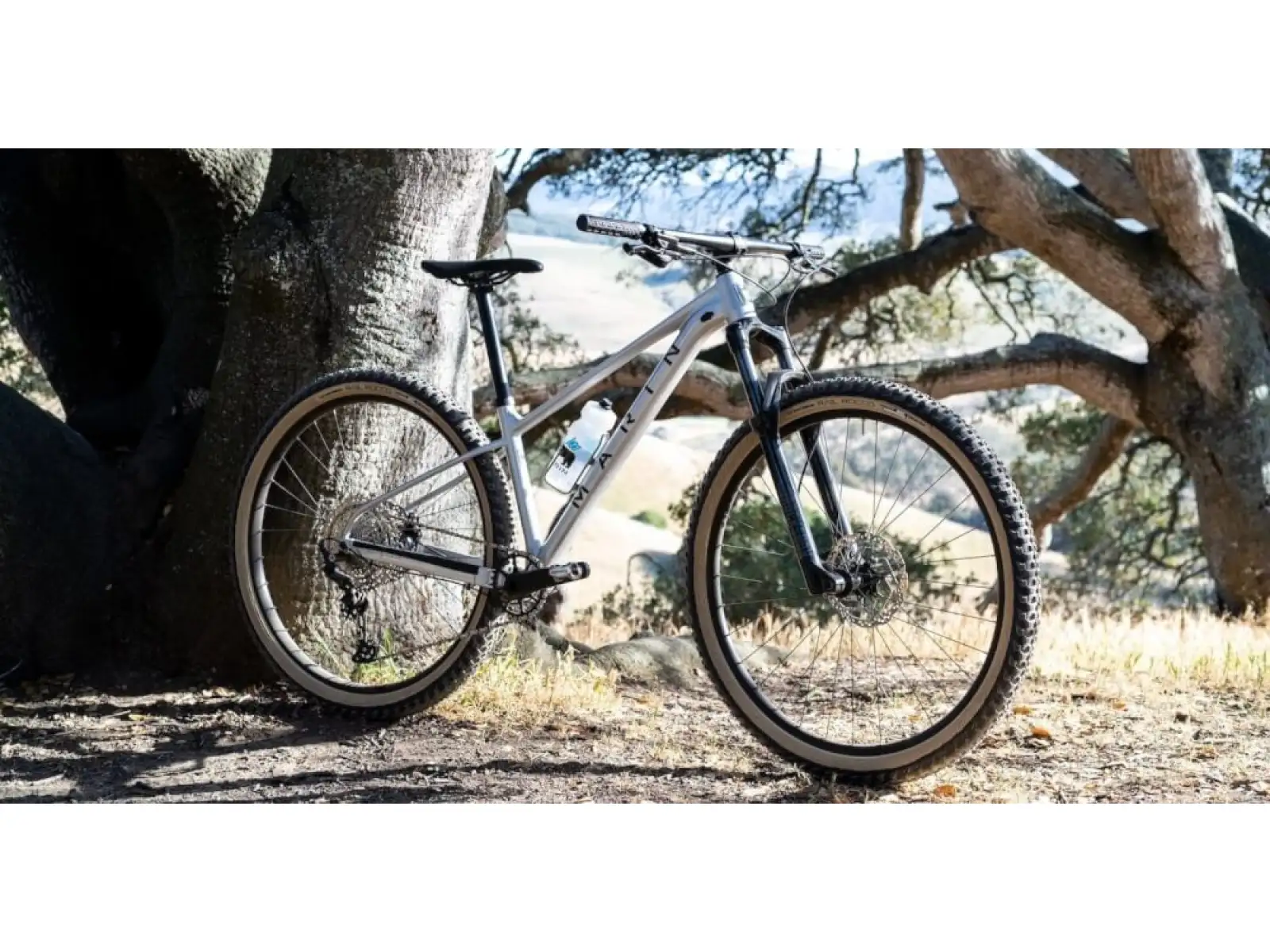 Marin Team Marin 1 29" Mountainbike Chrom/Schwarz