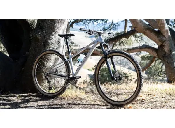 Marin Team Marin 1 29" Mountainbike Chrom/Schwarz