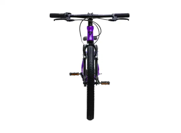 Rascal 20 Kinderfahrrad Amethyst Limited