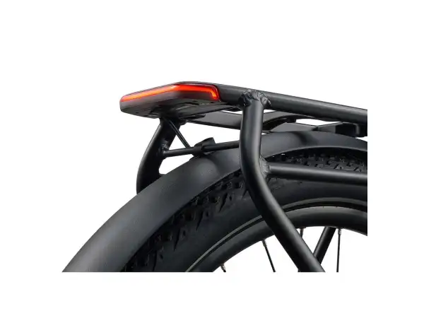 Giant Explore E+ 2 STA Trekking-E-Bike Alpine Green