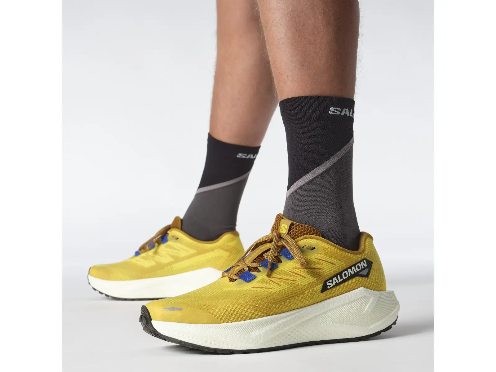 Salomon Aero Blaze 3 GRVL Herrenlaufschuhe Spicy Mustard