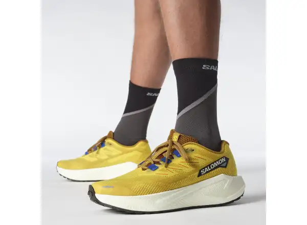 Salomon Aero Blaze 3 GRVL Herrenlaufschuhe Spicy Mustard