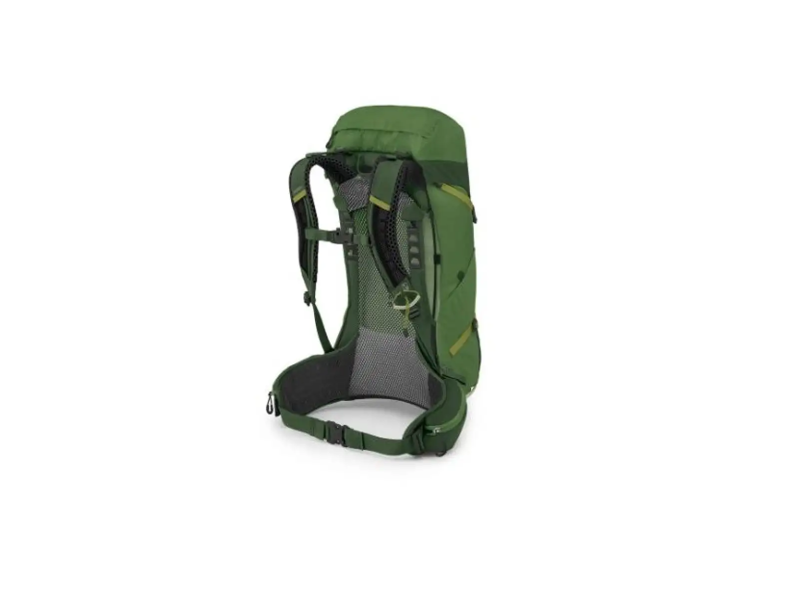 Osprey Stratos 26 l Rucksack Seaweed/Matcha Green
