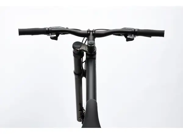 Cannondale Bad Boy 3 BBQ Urbanbike