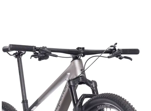 Superior XP 9.6 Mountainbike Matte Dark Chrome / Carbon