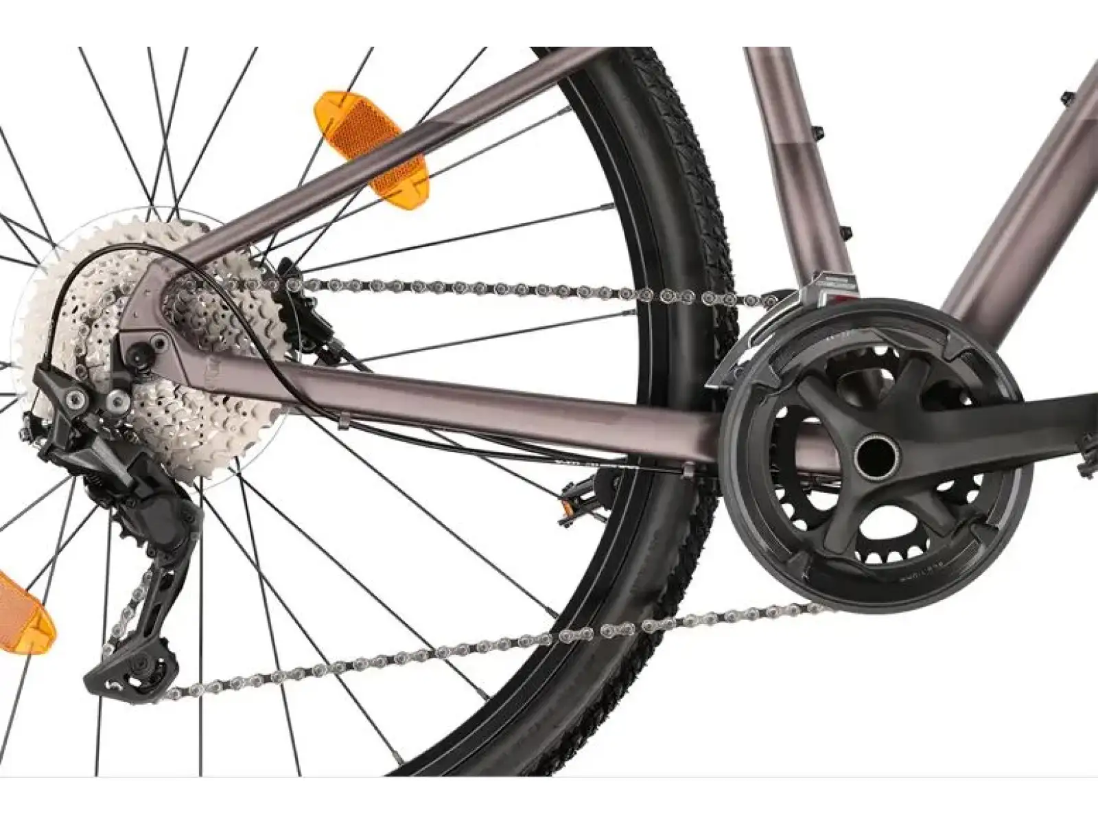 Liv Rove 1 DD Damen-Trekkingrad Dark Eclipse
