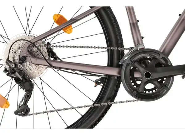 Liv Rove 1 DD Damen-Trekkingrad Dark Eclipse