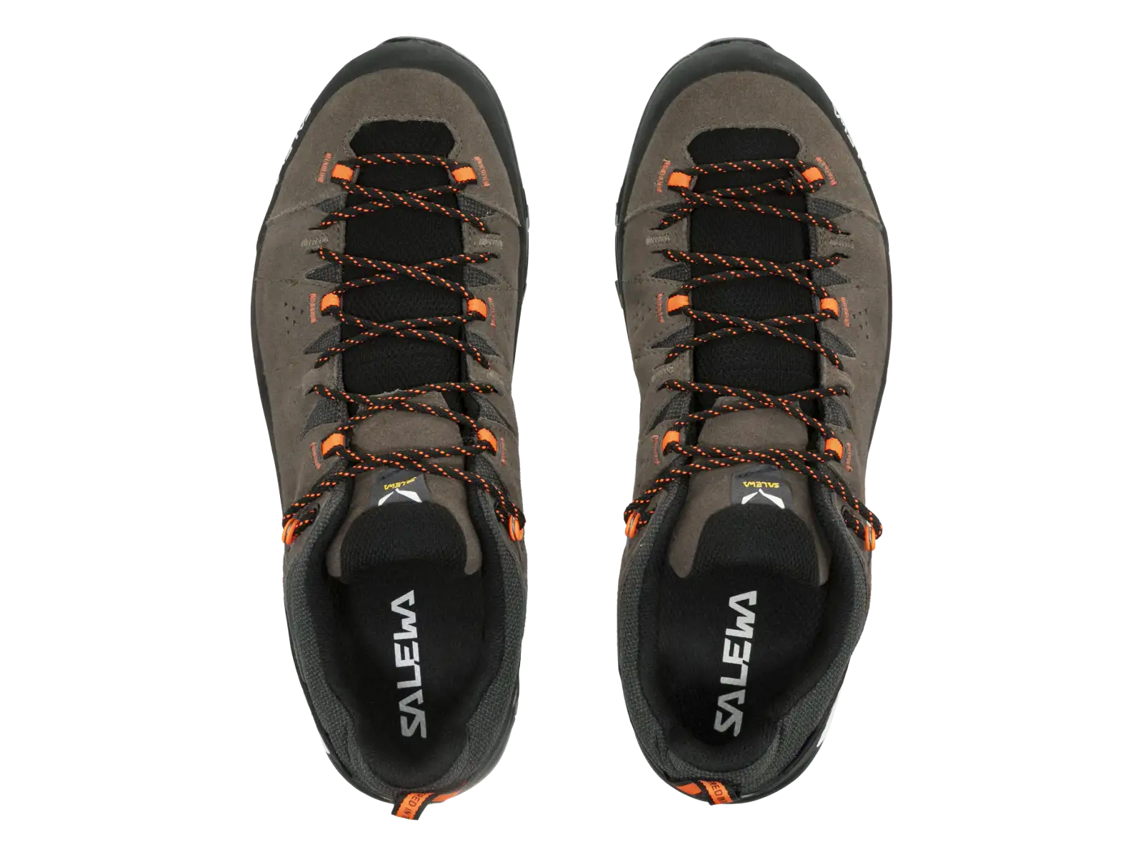 Salewa Alp Trainer 2 GTX Herrenschuhe Bungee Cord/Black