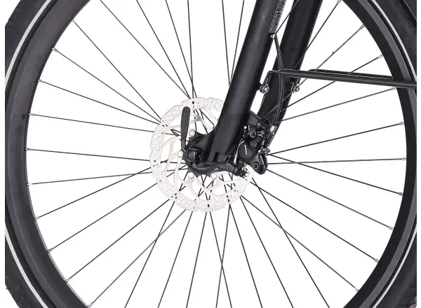 Superior eWAY 6.4 Stadt-E-Bike Gloss Soft Green