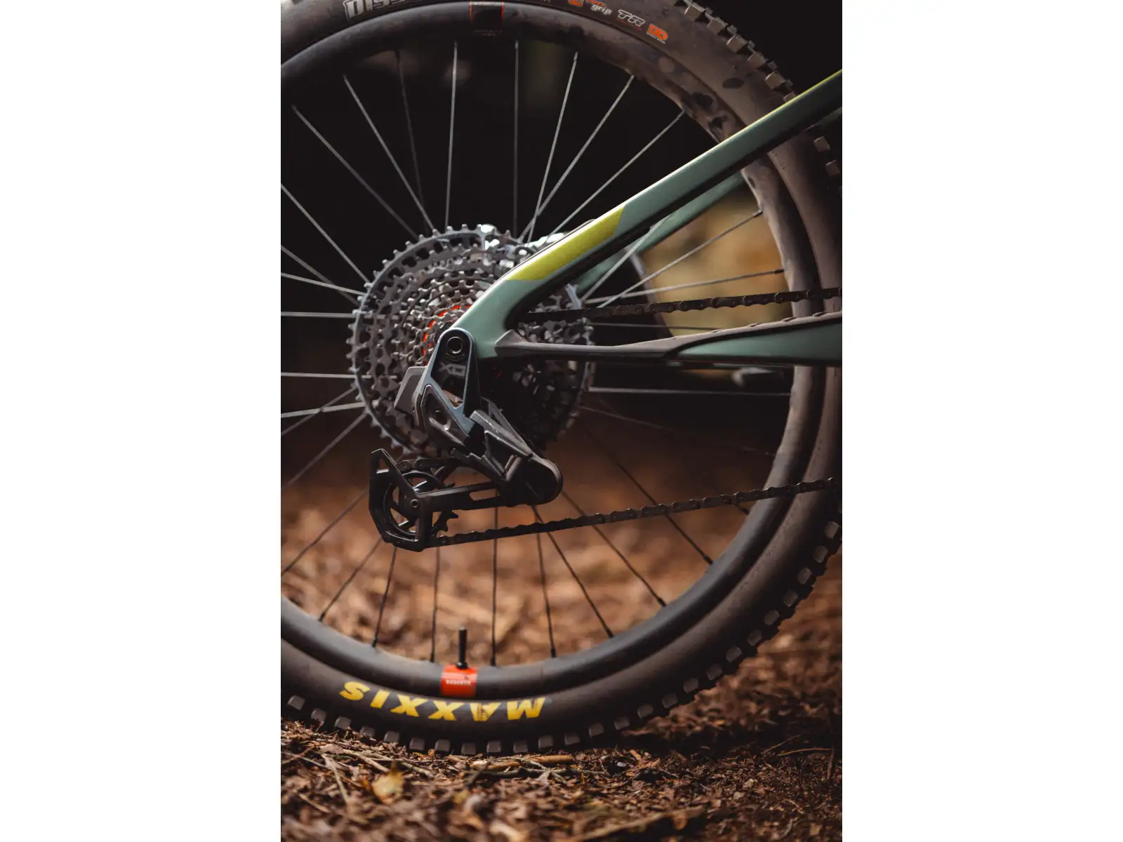 Cannondale Moterra SL Carbon 1 leichtes vollgefedertes E-Bike GEHT