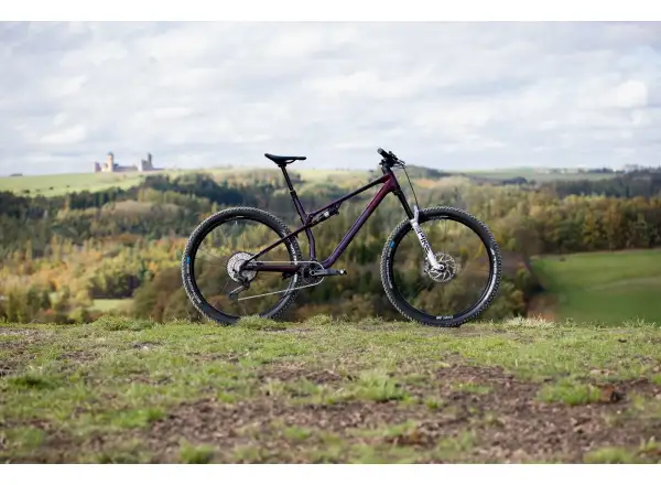 Superior XF 9.7 DC Mountainbike Matte Berry Carbon