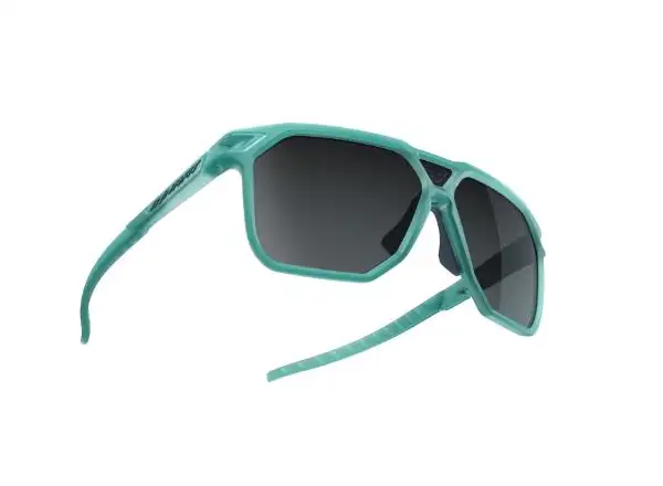 Dynafit Traverse Brille in Puritan Grau/Blueberry