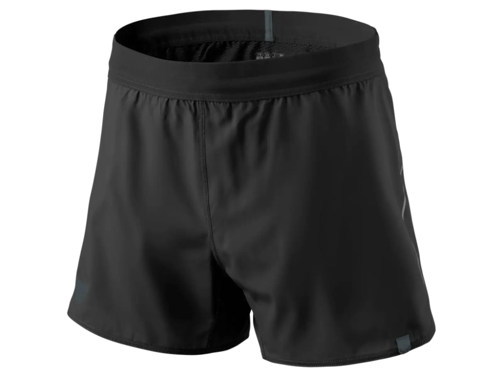 Dynafit Alpine 2 W Shorts Damen Laufshorts black out