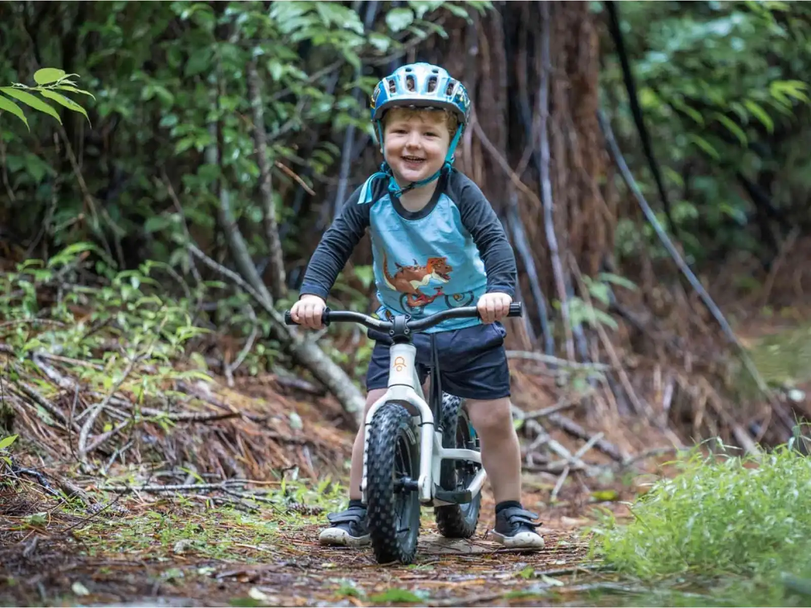 Kids Ride Shotgun Dirt Hero 12 Laufrad