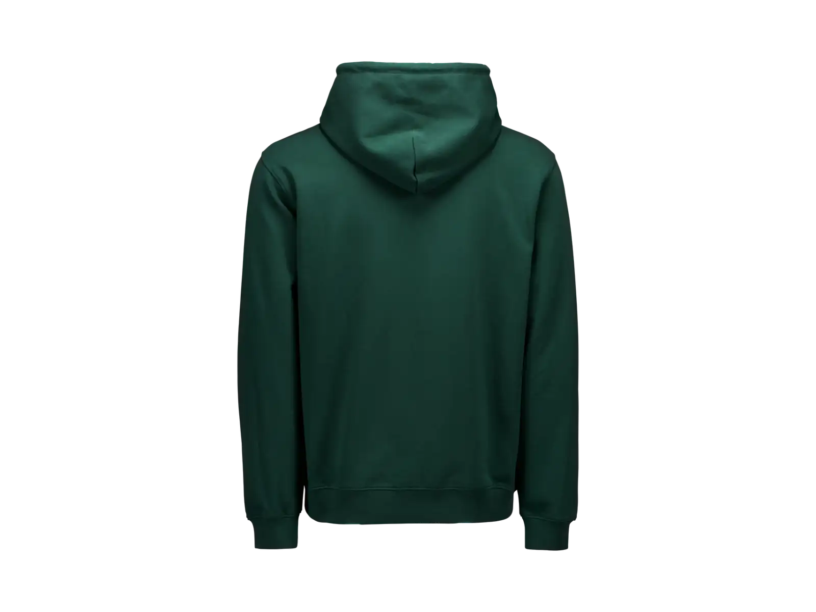 POC Hoodie Pargasite Green