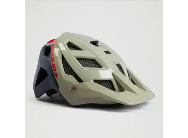 Endura MT500 Mips Helm Pilz