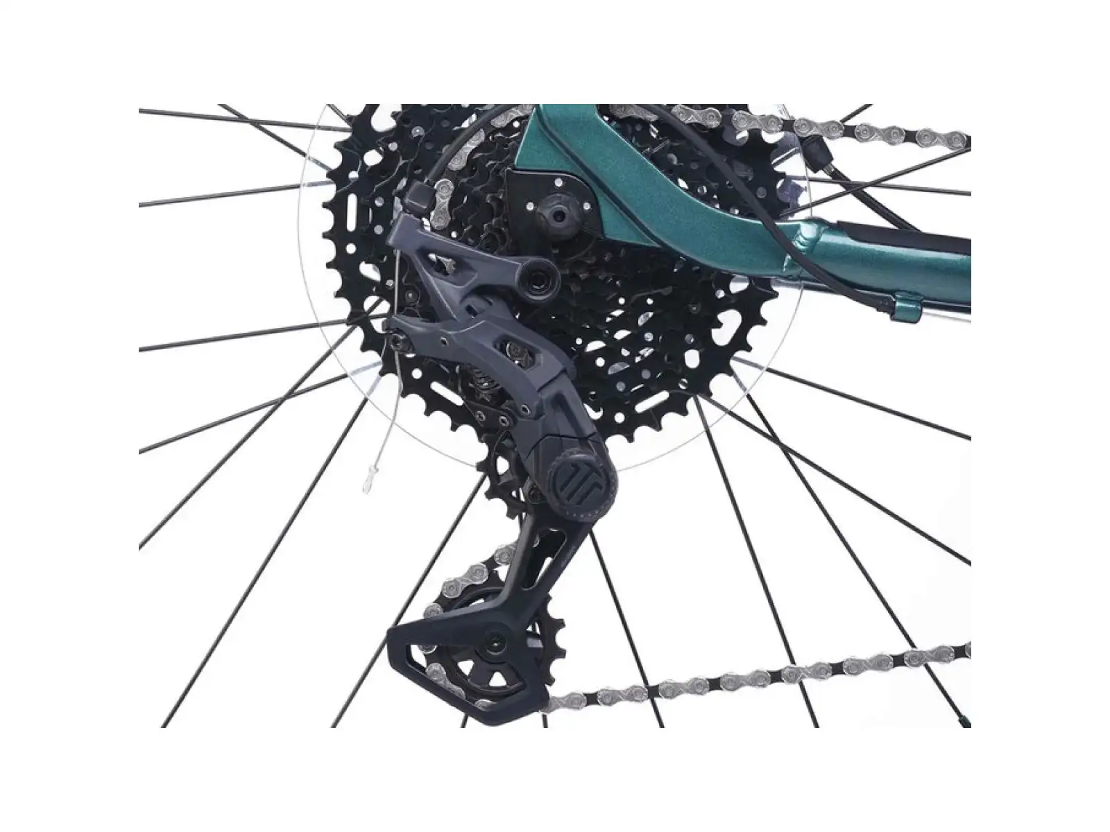 Academy S-Grade Gravel 5 Kinderfahrrad 24 Zoll Grün