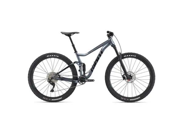 Giant Stance 29 2 mountain bike Ritterschild