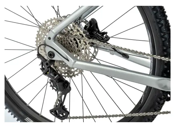 Apache Hupahu 1 Bosch 1000 Wh elektrisches Mountainbike silber