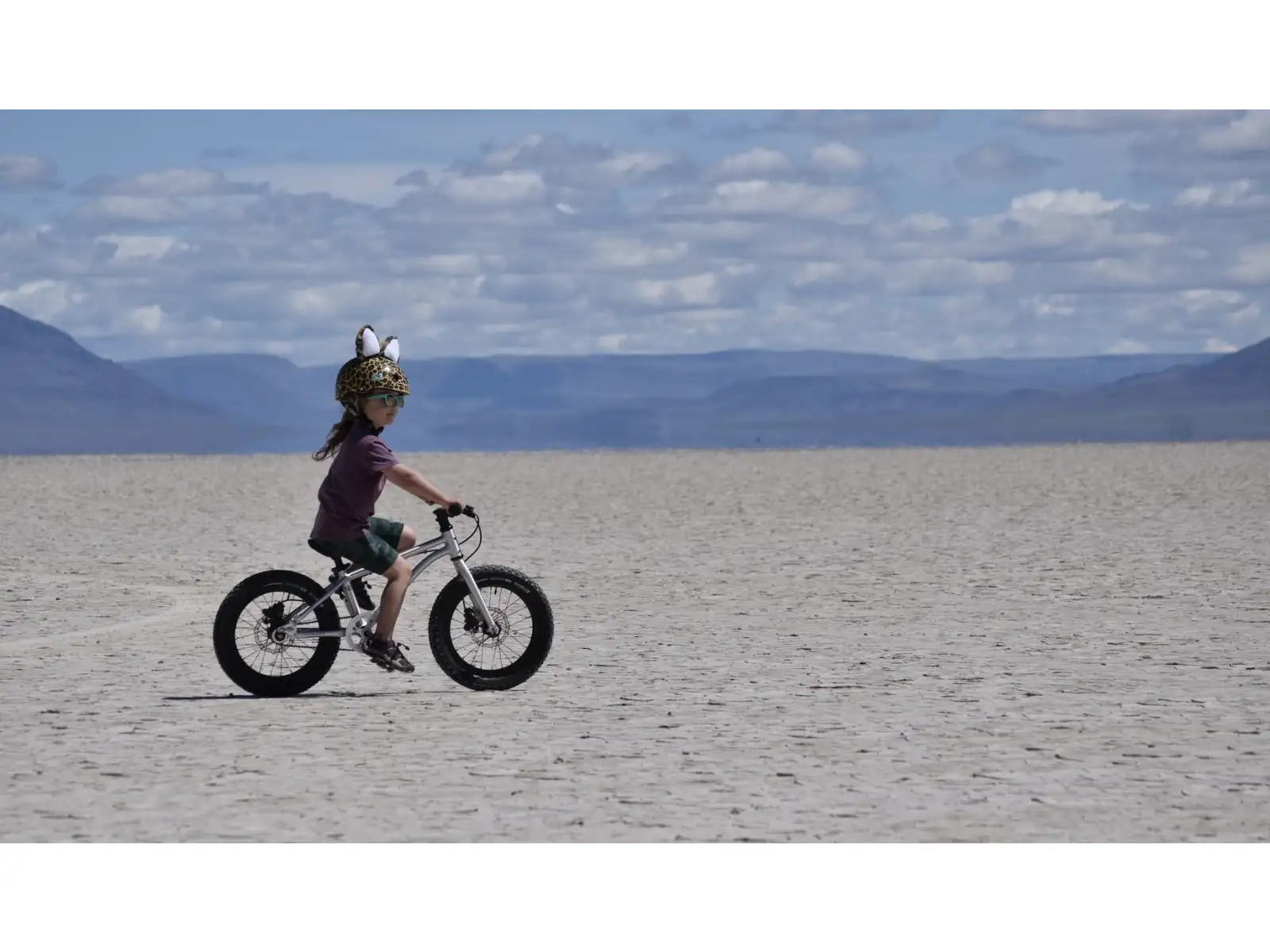 Early Rider Seeker X16 Kinderfahrrad Violett Haze
